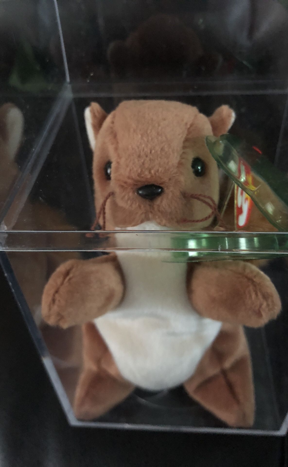 Beanie baby “nuts” squirrel. 1998