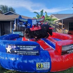 Mechanical Bull Sale 