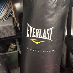75lb Punching Bag