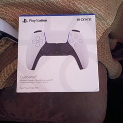 New PS5 Controller 
