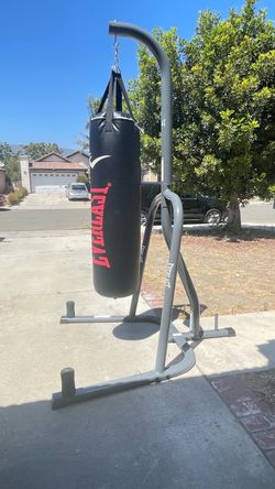 Punching bag and stand
