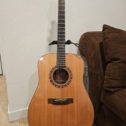 Takamine Frank Loyd Wright Model