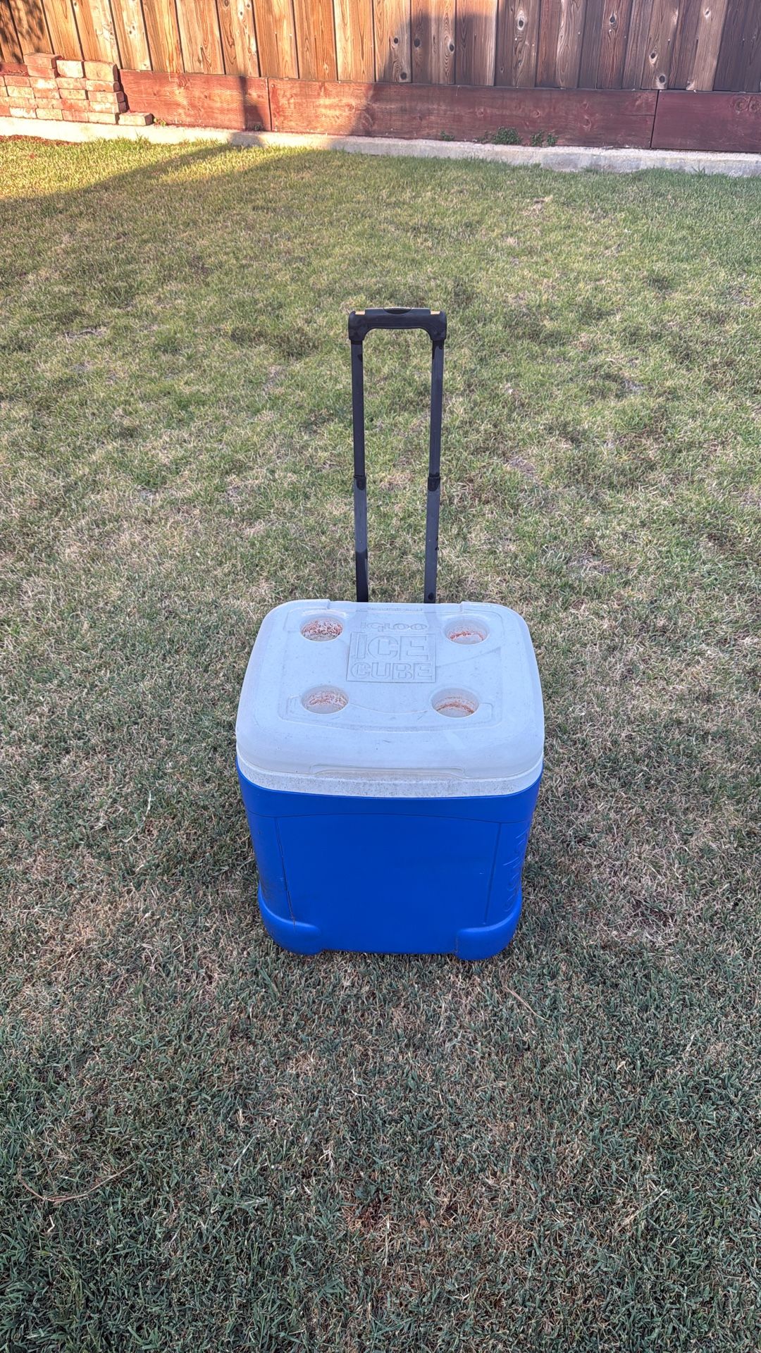 IGLOO Ice Cube Cooler