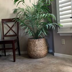 Large Plant/tree Basket
