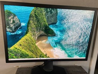 Dell UP3017 30" Monitor - QHD Wide 1440P