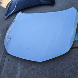 Honda Accord Hood Oem