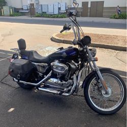 2004 Harley Davidson 1200 Custom