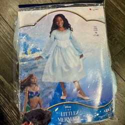 Princess Ariel Girls Costume Small, Medium, And Large