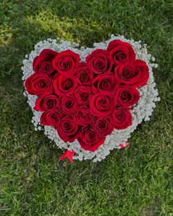 Heart Arrangment