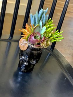 Halloween Succulent Arrangements