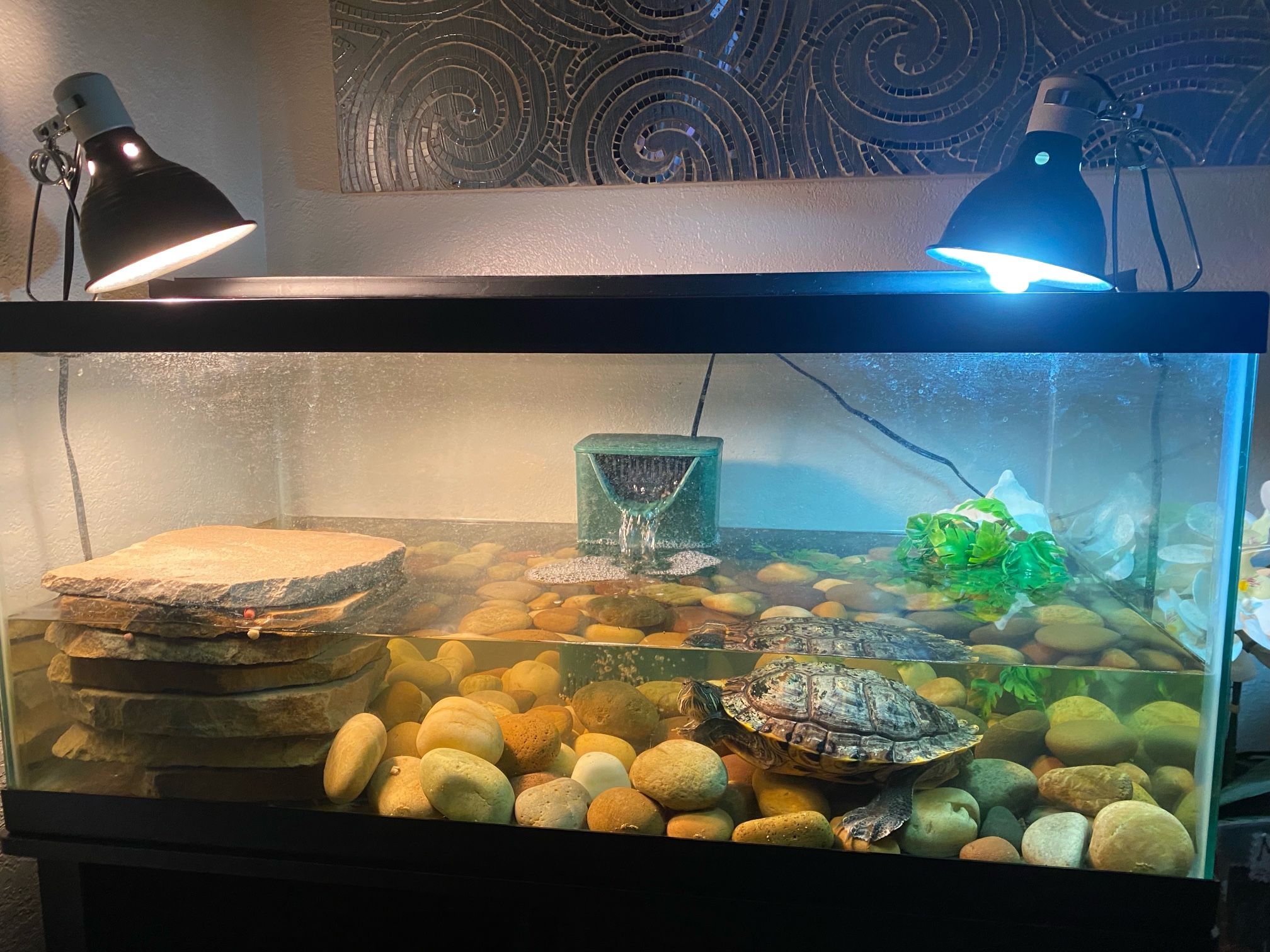 Turtle Tank With Heat Lamp Filter Basking Light