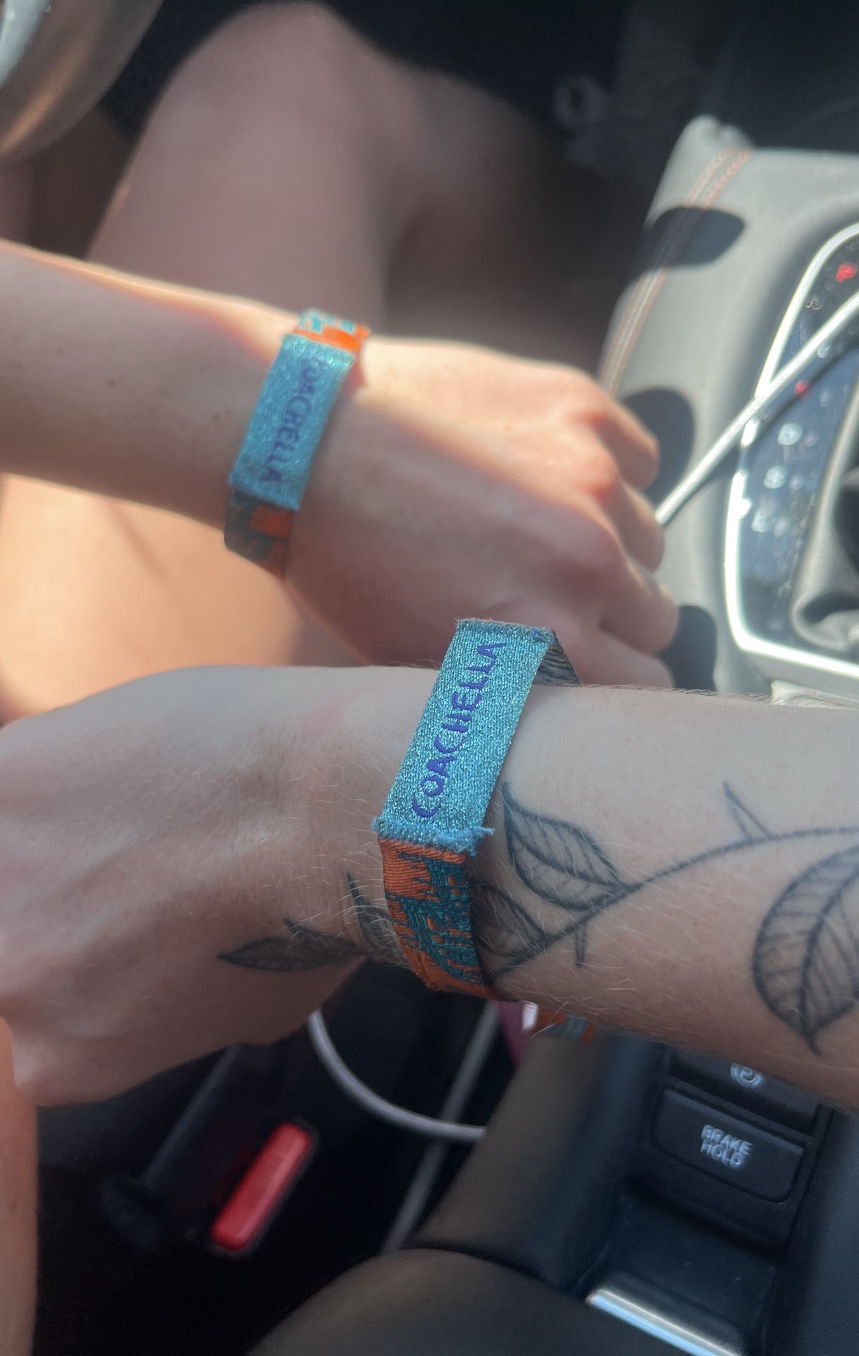 Coachella weekend two SATURDAY AND SUNDAY ONLY