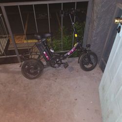 Windsor Adult Electric bike 