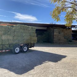 Alfalfa Bales $9 And $9.50. Alfalfa Mix $7.  109 Villalobos Rd In Clint  
