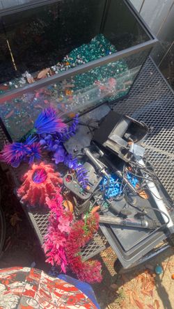 Fish tank