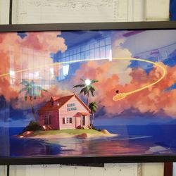 Dragonball Z 11x17 Framed Picture