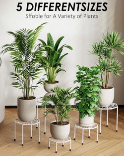 Plant stand