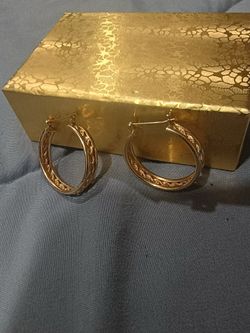 Hoop Earrings