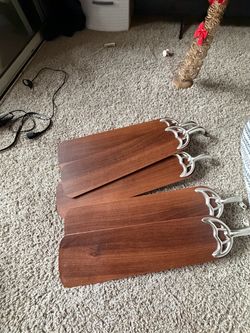 Home Depot fan