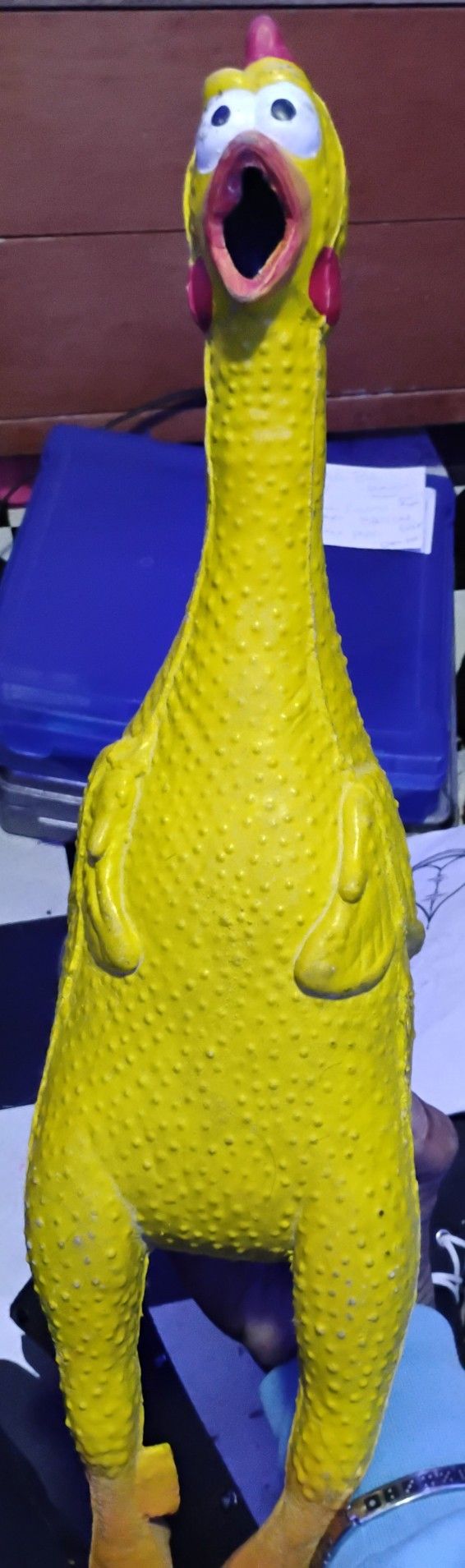 Rubber Chicken