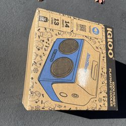 IGLOO Kooltunes Cooler