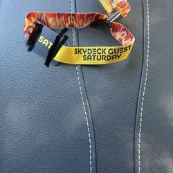 EDC guest Sky Deck VIP 