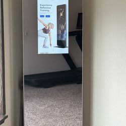 ProForm Vue Exercise Mirror