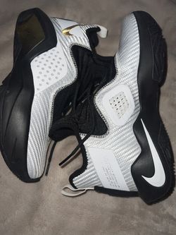 Lebron Basketball Shoes