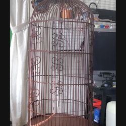 Tall Bird Cage