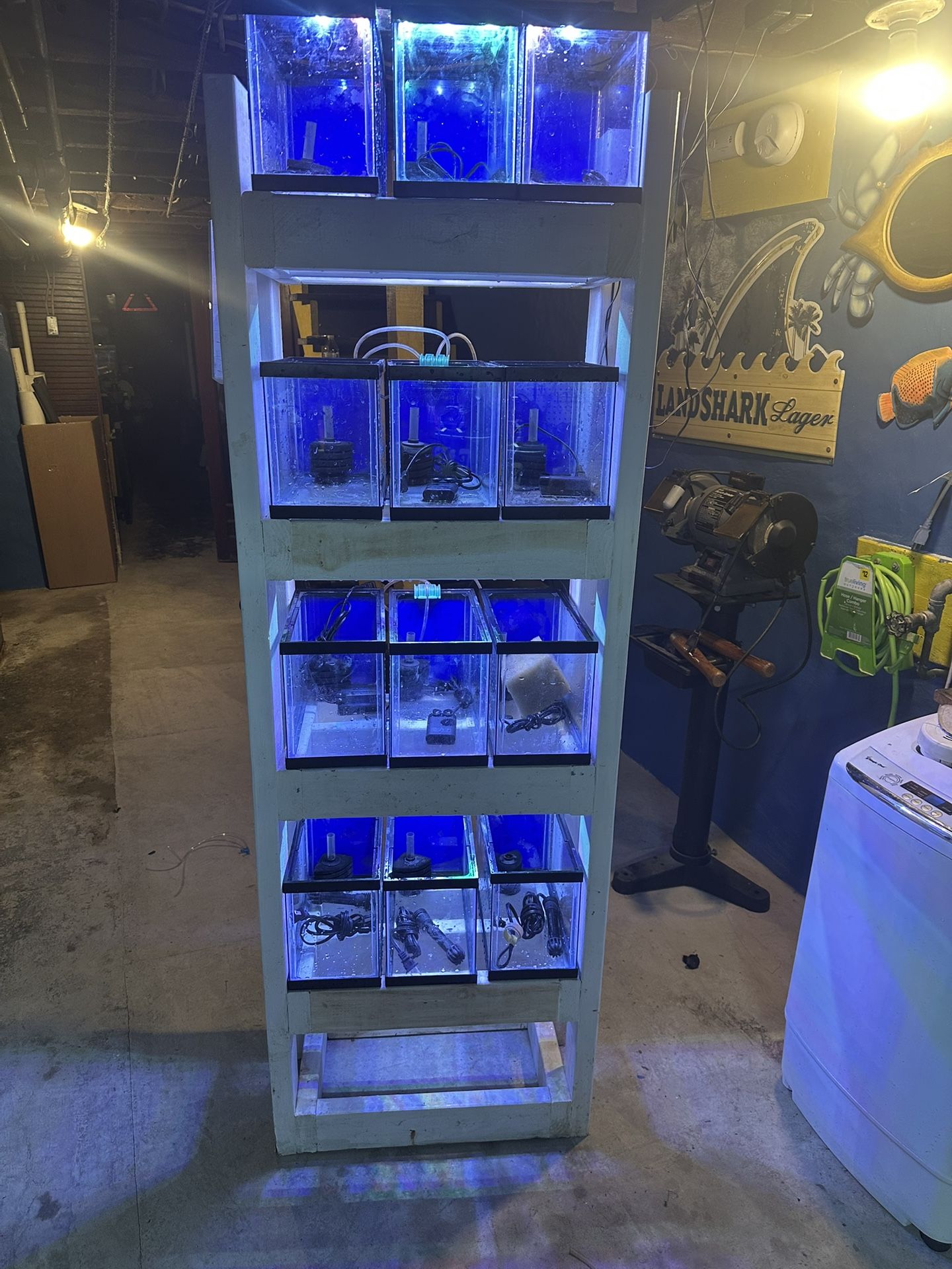 Reef Saltwater Aquarium, Fish Tank
