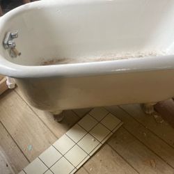 Vintage Lion Paw Bath Tub