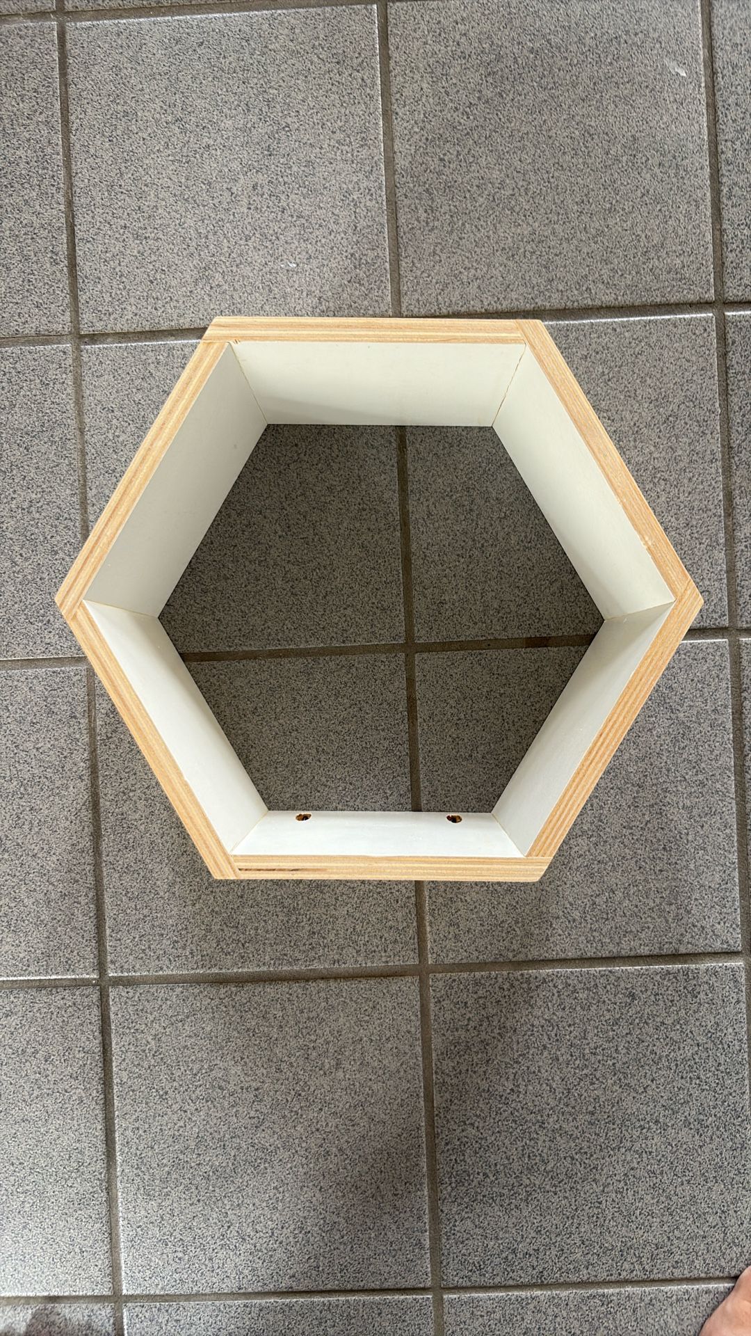 Six hexagon Shaped Bookshelves