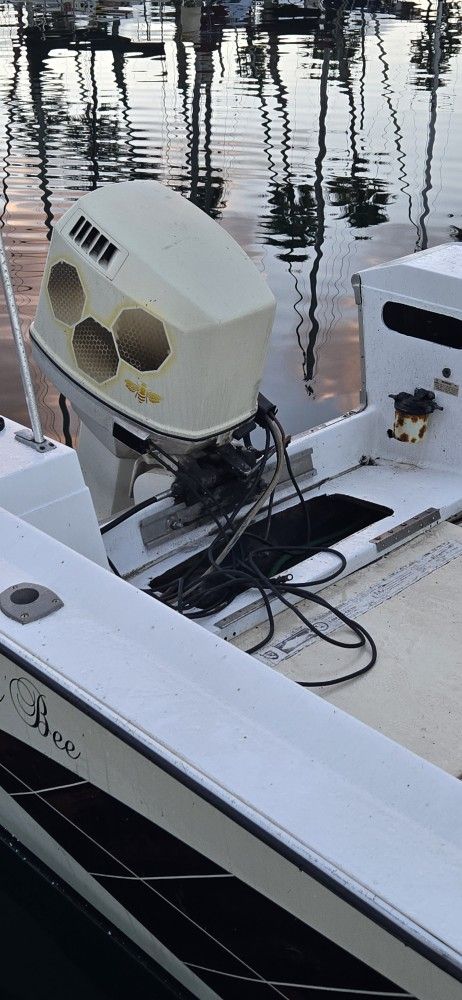 20' Fishing Boat 1981 (Does Not Include Trailer) OBO