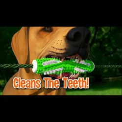 Tug’n’brush Dog Toy/Toothbrush