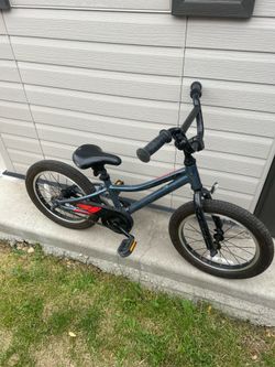 16” giant animator bike