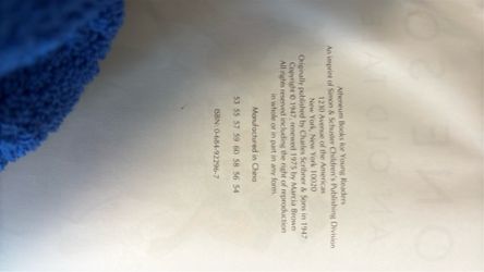 Stone soup book