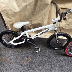 OG ES Lil Ripper BMX – Rare Frame – Project Bike – High Value Build