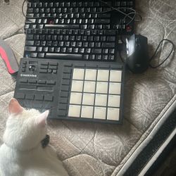 Keyboards + Beat Maker + Razer wired gaming mouse