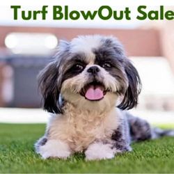 temecula. New artificial grass. many types (sale)