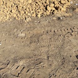 Fill Dirt