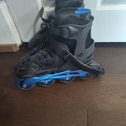 Roller Skates