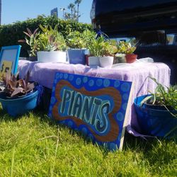 Landscape Succulents Plants Gift Decor 