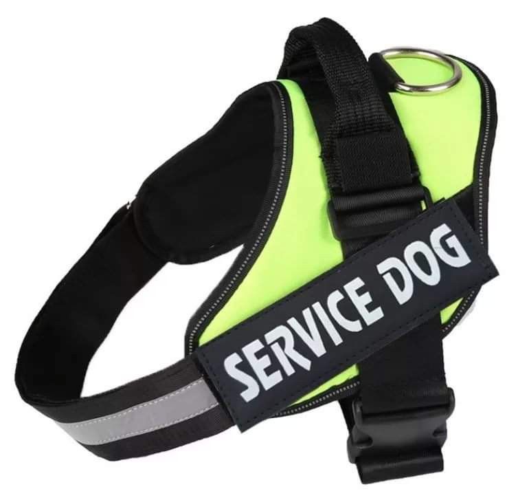 Service Dog Harness Green Vest BRAND NEW All Sizes XS S M L XL XXL