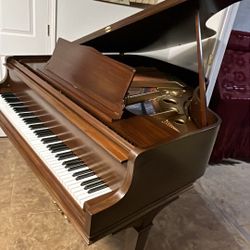 Amazingly Beautiful Baby Grand Piano