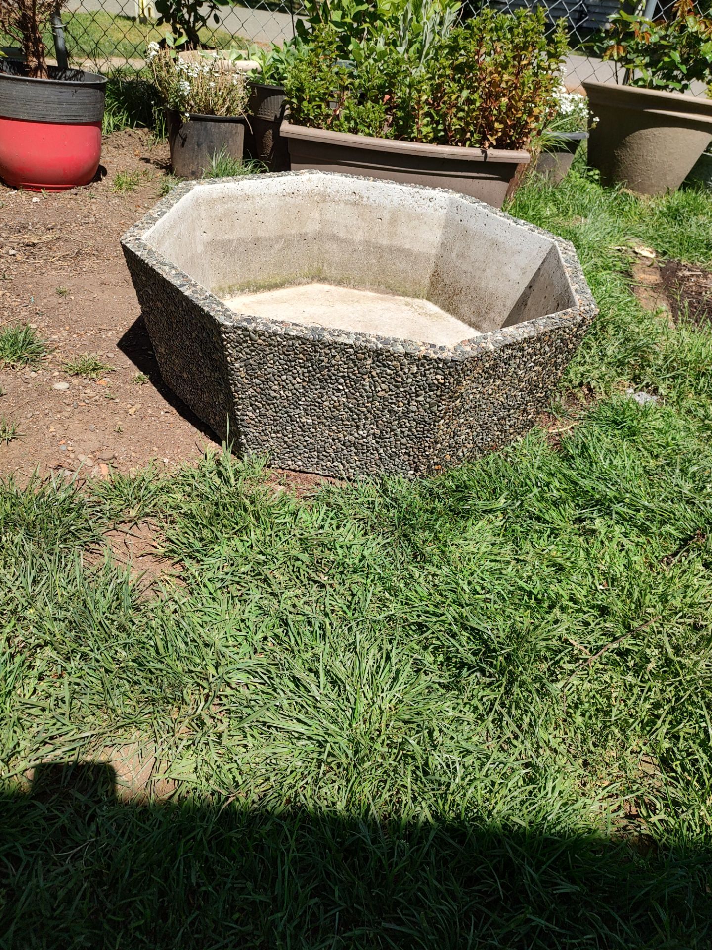 Concrete flower pot 30 inches wide 11 inches tall