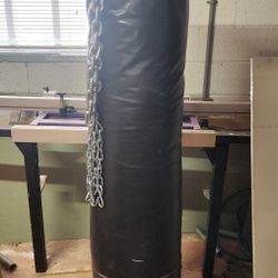 Muay Thai Kicking Punching Bag