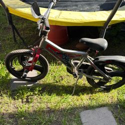 Free Kids Bike