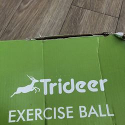 Trideer Exercise Ball
