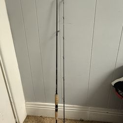 Brand New Pflueger Trion Rod