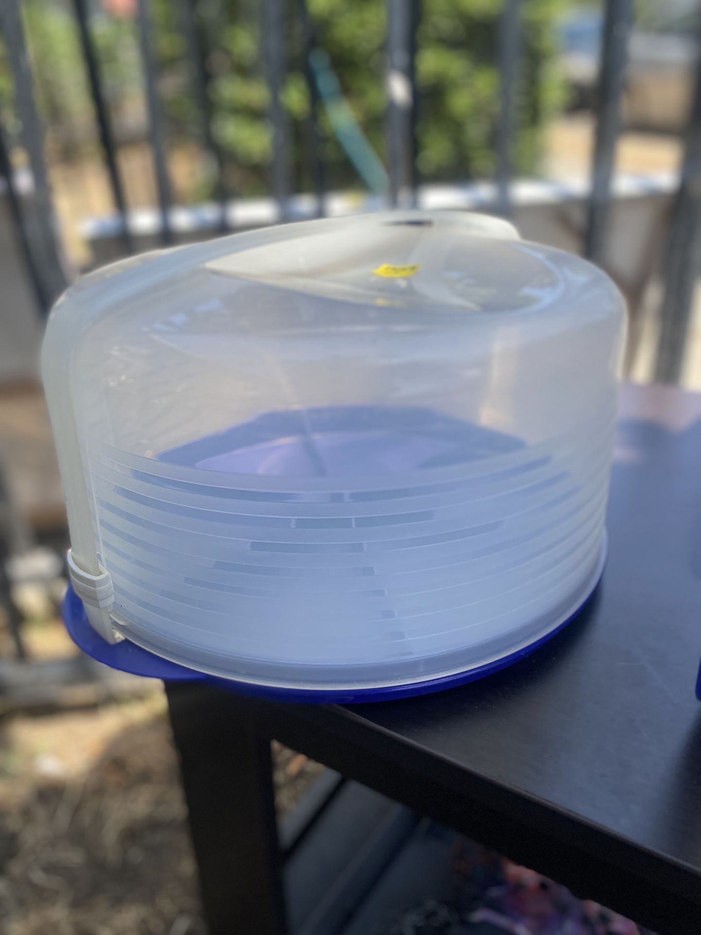 Cake Holder For $3